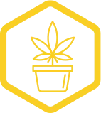 Honeypot Canada